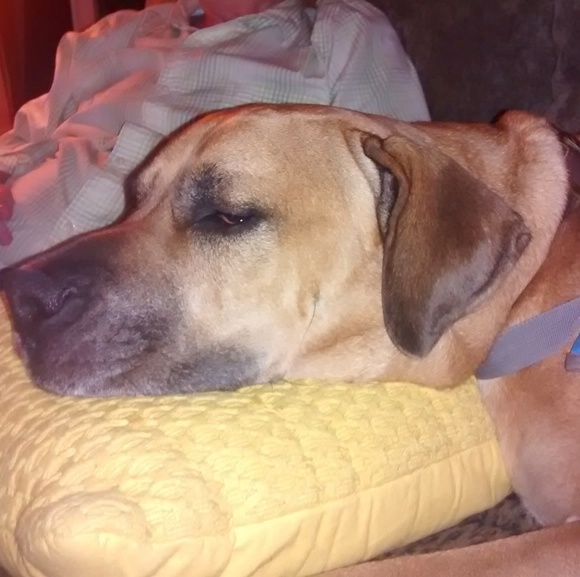 Lupe Fiasco - Picture 4 of 7